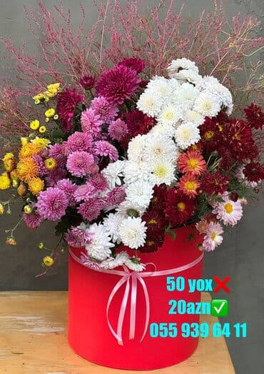 Букетные цветы: Təbii çox qalıcı və ətirli güllər xrizantemalar
İnstagram ter_gulum at lalafo.az — 7 Букетные цветы: Təbii çox qalıcı və ətirli güllər xrizantemalar
İnstagram ter_gulum — 7