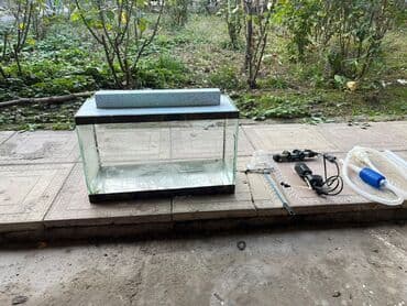 Akvaryum həvəskarları üçün tam set - Şüşə akvaryum: təxmini ölçü lalafo.az -da Akvaryum həvəskarları üçün tam set - Şüşə akvaryum: təxmini ölçü