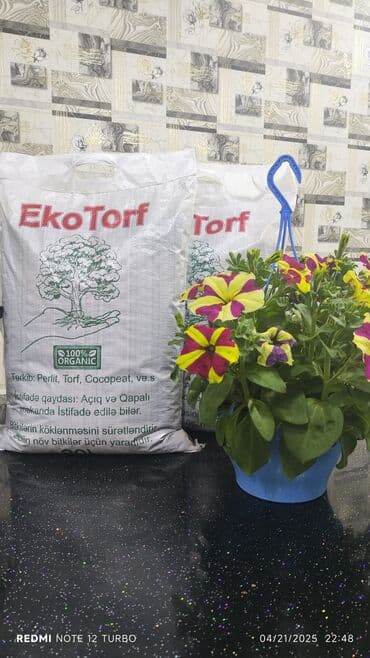 Salam ən keyfiyetli torf satışda Ekotorf. 1 .Tərəvəz şitilərin lalafo.az -da Salam ən keyfiyetli torf satışda Ekotorf. 1 .Tərəvəz şitilərin