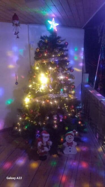 Yolka satilir oyuncaqlarnan bir shekilde gorduyunuz kimi.Alinib 220 lalafo.az -da Yolka satilir oyuncaqlarnan bir shekilde gorduyunuz kimi.Alinib 220