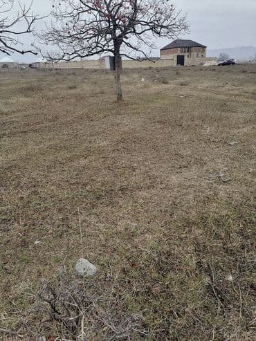 4 sot, Kənd təsərrüfatı, Mülkiyyətçi, Kupça (Çıxarış) lalafo.az -da 4 sot, Kənd təsərrüfatı, Mülkiyyətçi, Kupça (Çıxarış)