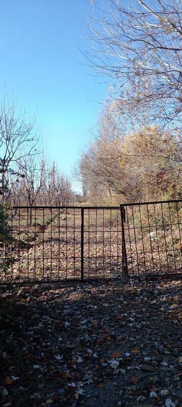 130 sot, Kənd təsərrüfatı, Barter mümkündür, Kupça (Çıxarış) lalafo.az -da 130 sot, Kənd təsərrüfatı, Barter mümkündür, Kupça (Çıxarış)