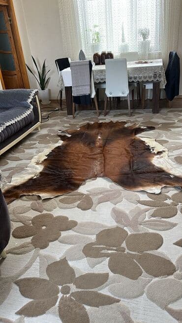 Xalça Dekorativ, Kredit yoxdur lalafo.az -da Xalça Dekorativ, Kredit yoxdur