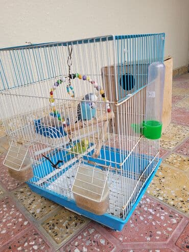 Budaqlar və aksesuarlarla tam quş qəfəsi dəsti Məhsul tərkibi: - lalafo.az -da Budaqlar və aksesuarlarla tam quş qəfəsi dəsti Məhsul tərkibi: -