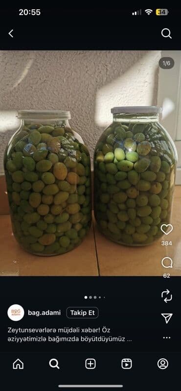 Məhsul: Ev üsulu duzlu yaşıl zeytun 3 kq =15Azn Təsvir: - Bağda lalafo.az -da Məhsul: Ev üsulu duzlu yaşıl zeytun 3 kq =15Azn Təsvir: - Bağda