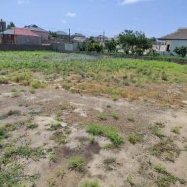 Mülkiyyətçi, Kupça (Çıxarış) lalafo.az -da Mülkiyyətçi, Kupça (Çıxarış)