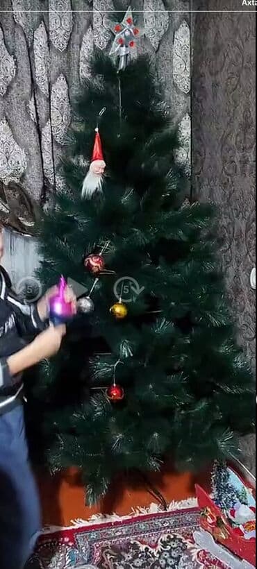 Süni yolka ağacı və bəzəklər dəsti - Klassik tünd-yaşıl süni yolka lalafo.az -da Süni yolka ağacı və bəzəklər dəsti - Klassik tünd-yaşıl süni yolka