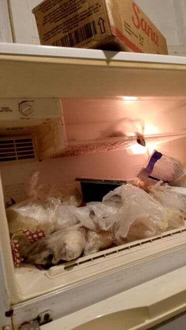 Məhsul: Kiçik ölçülü dondurucu kameraya malik stolüstü soyuducu lalafo.az -da Məhsul: Kiçik ölçülü dondurucu kameraya malik stolüstü soyuducu