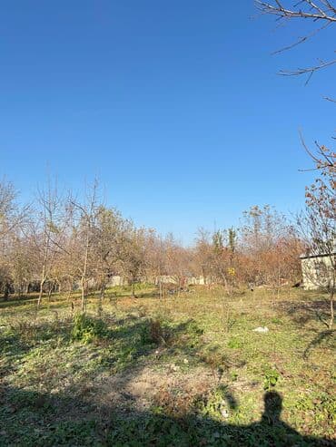 17 sot, Tikinti, Kupça (Çıxarış) lalafo.az -da 17 sot, Tikinti, Kupça (Çıxarış)