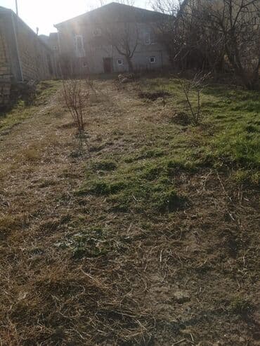 4 sot, Tikinti, Mülkiyyətçi, Kupça (Çıxarış) lalafo.az -da 4 sot, Tikinti, Mülkiyyətçi, Kupça (Çıxarış)