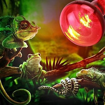 Qizdirici infraqirmizi lampa Qizdirici infrared lampa Qızdırıcı at lalafo.az Qizdirici infraqirmizi lampa Qizdirici infrared lampa Qızdırıcı