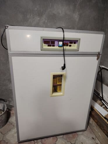 1100 yumurta, Tam avtomat lalafo.az -da 1100 yumurta, Tam avtomat