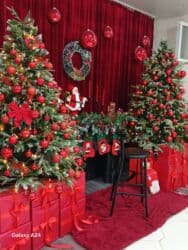 Foto çəkiliş | Studiya | Tədbirlərin çəkilişi, Love story, Toy fotosesiyası lalafo.az -da Foto çəkiliş | Studiya | Tədbirlərin çəkilişi, Love story, Toy fotosesiyası