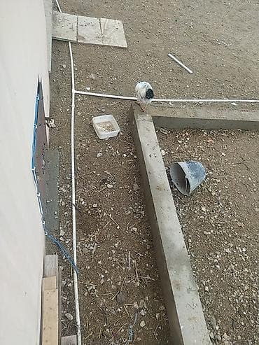 Водопроводные трубы: Plastik boru və aksesuarları – tikinti və suvarma üçün - Material at lalafo.az — 1 Водопроводные трубы: Plastik boru və aksesuarları – tikinti və suvarma üçün - Material — 1