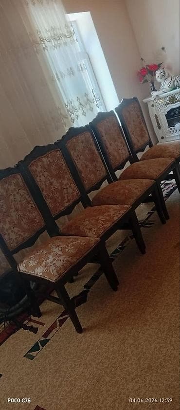 L🅰/ stul, oturacaq 6 ədəddir təzədən seçilmir qiymət 230 azn ¹⁴⁵⁰ lalafo.az -da L🅰/ stul, oturacaq 6 ədəddir təzədən seçilmir qiymət 230 azn ¹⁴⁵⁰
