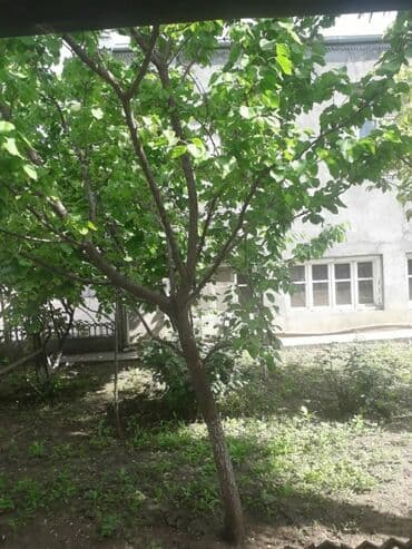 Tələbə oğlanlar və iş adamları, Hər şəraitli otaq. Sürətli internet lalafo.az -da — 12 Tələbə oğlanlar və iş adamları, Hər şəraitli otaq. Sürətli internet — 12