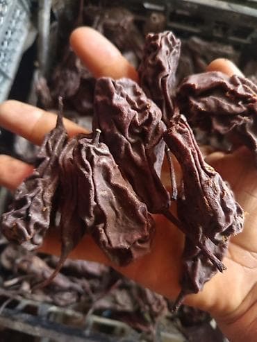 Qurudulmuş Armud– ev üsulu. Topdan və Pərakəndə lalafo.az -da Qurudulmuş Armud– ev üsulu. Topdan və Pərakəndə