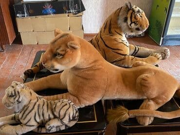 Müxtəlif ölçülü və dizaynlı üç ədəd yumşaq oyuncaq. Bir ədəd böyük lalafo.az -da Müxtəlif ölçülü və dizaynlı üç ədəd yumşaq oyuncaq. Bir ədəd böyük