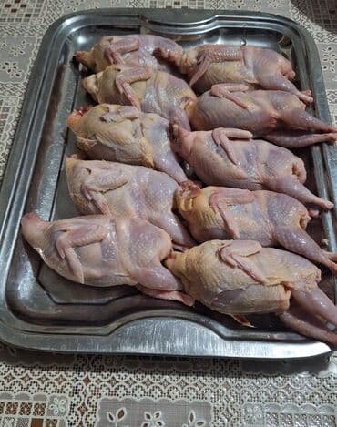 Diri və kəsilmiş halda satışı var. Sayından aslı olaraq qiyməti lalafo.az -da Diri və kəsilmiş halda satışı var. Sayından aslı olaraq qiyməti