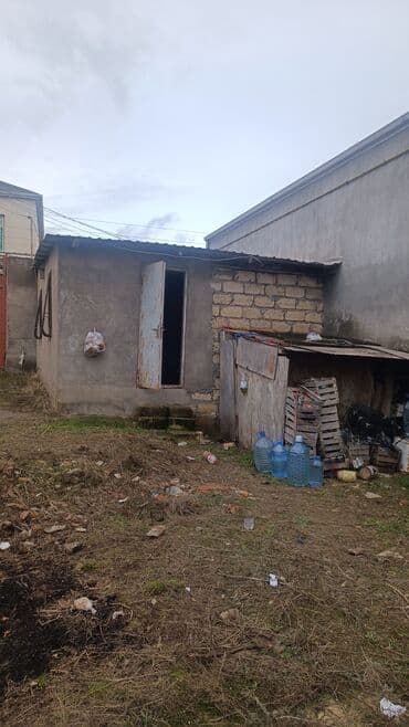 Biznes üçün lalafo.az -da Biznes üçün