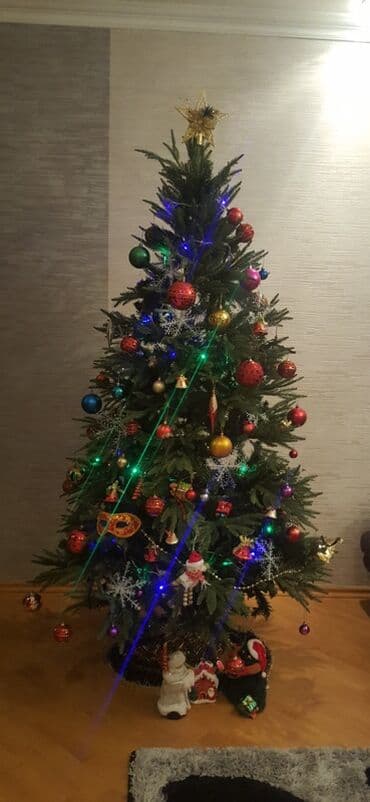 Məhsul: Yeni il şam ağacı Təsvir: - Hündür, sıx budaqlı şam ağacı lalafo.az -da Məhsul: Yeni il şam ağacı Təsvir: - Hündür, sıx budaqlı şam ağacı