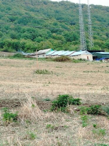 Great Wall: 949 sot, Mülkiyyətçi, Kupça (Çıxarış) lalafo.az -da — 2 Great Wall: 949 sot, Mülkiyyətçi, Kupça (Çıxarış) — 2