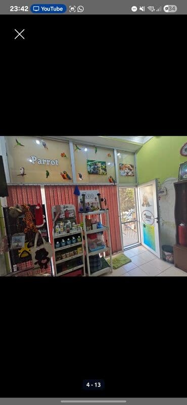 Mağaza bağlanır. Bütün mallar maya dəyərindən aşağı satılır. Zoo lalafo.az -da Mağaza bağlanır. Bütün mallar maya dəyərindən aşağı satılır. Zoo