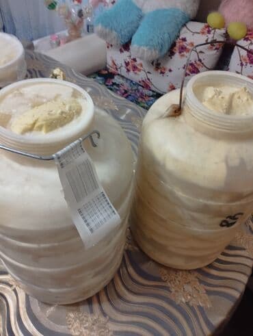 Nahcivan pendiri lalafo.az -da Nahcivan pendiri