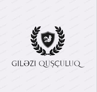 GÖZƏTÇİ İş barədə məlumat: -Azərbaycan Respublikası Əmək Məcəlləsinə lalafo.az -da GÖZƏTÇİ İş barədə məlumat: -Azərbaycan Respublikası Əmək Məcəlləsinə