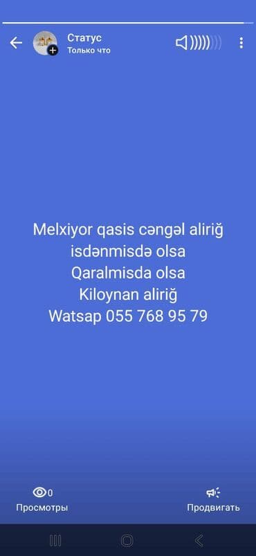 Melxiyor qasiğlar cəngələr və s kiloynan aliriğ lalafo.az -da Melxiyor qasiğlar cəngələr və s kiloynan aliriğ