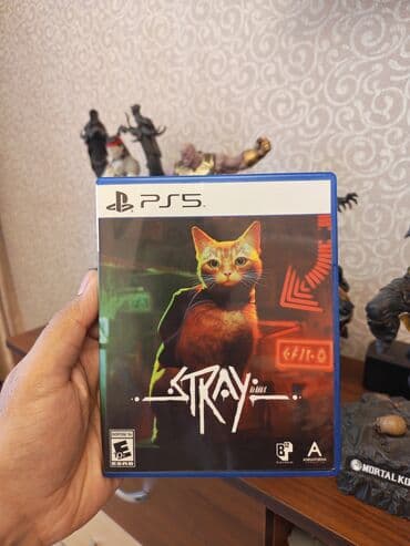 Macəra lalafo.az -da Macəra