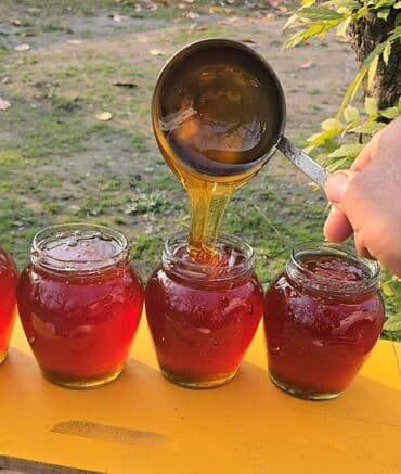 Salam aleykum. Şimal bölgəsində - Xudat, Xaçmaz, Quba, Qusar lalafo.az -da Salam aleykum. Şimal bölgəsində - Xudat, Xaçmaz, Quba, Qusar