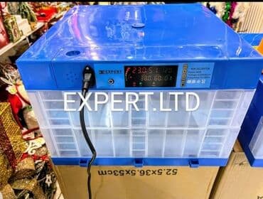 Экстракторы масла: 100 яиц, Китай, Полностью автоматическая, Для всех видов птиц, С гарантией at lalafo.az — 7 Экстракторы масла: 100 яиц, Китай, Полностью автоматическая, Для всех видов птиц, С гарантией — 7