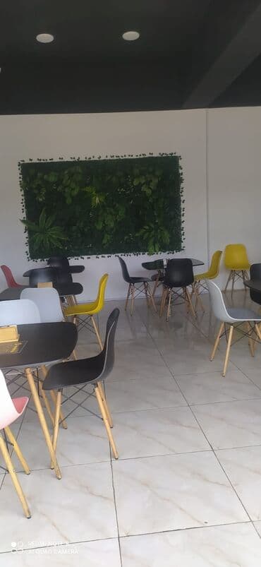 ПО для бизнеса: Tam təchizatlı fast-food/kafe konsepti – avadanlıq və interyer at lalafo.az — 3 ПО для бизнеса: Tam təchizatlı fast-food/kafe konsepti – avadanlıq və interyer — 3