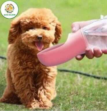 Миски для воды и еды: İt və pişik üçün su qabı.(su qabı) İt və pişik üçün portativ daşınan at lalafo.az — 5 Миски для воды и еды: İt və pişik üçün su qabı.(su qabı) İt və pişik üçün portativ daşınan — 5