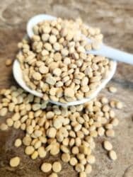 Удобрения: Toxum! ginseng
1 parça 50 qəpik at lalafo.az — 2 Удобрения: Toxum! ginseng
1 parça 50 qəpik — 2