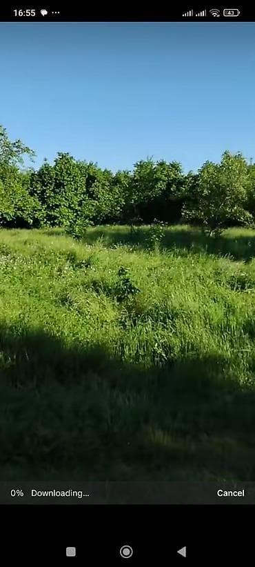 40 sot, Tikinti, Kupça (Çıxarış) lalafo.az -da 40 sot, Tikinti, Kupça (Çıxarış)
