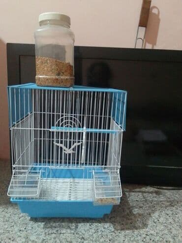 Qəfəs təzə lalafo.az -da Qəfəs təzə