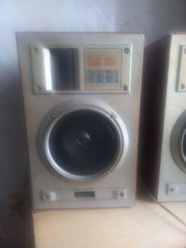 Двух полосная акустическая колонка с фазоинвертором 15АС220 lalafo.az -da Двух полосная акустическая колонка с фазоинвертором 15АС220