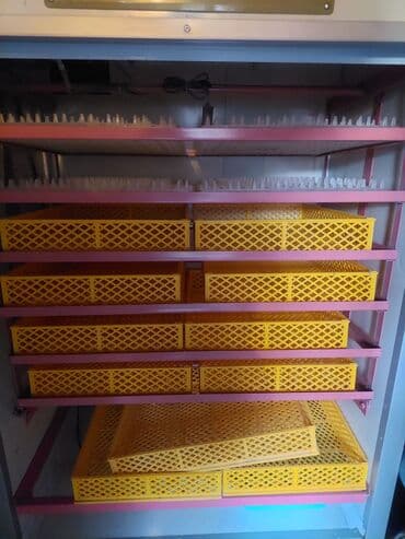 Доильные аппараты: Yumurta İnkubatoru – avtomatik idarəetməli, çoxrəfli 1200 yumurtalı at lalafo.az — 4 Доильные аппараты: Yumurta İnkubatoru – avtomatik idarəetməli, çoxrəfli 1200 yumurtalı — 4