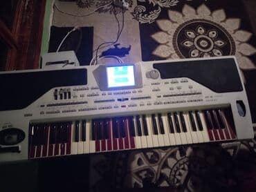 Sintezator, Korg lalafo.az -da Sintezator, Korg