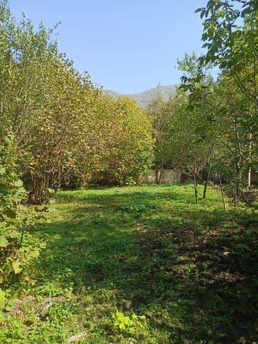 Реечные панели: 10 соток, Для бизнеса, Возможен обмен, Купчая at lalafo.az — 1 Реечные панели: 10 соток, Для бизнеса, Возможен обмен, Купчая — 1