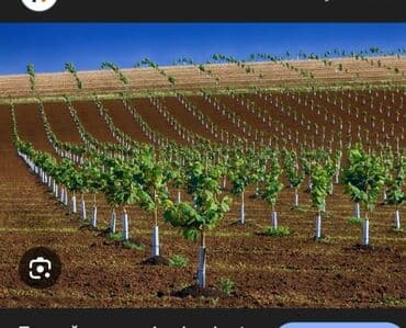 Xaçmazda iş yeri kim istdese yazsın vatsapa . xanım iş lazimdi lalafo.az -da Xaçmazda iş yeri kim istdese yazsın vatsapa . xanım iş lazimdi