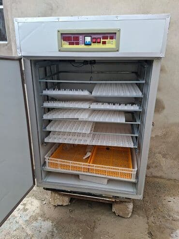 1100 yumurta, Çin, Tam avtomat lalafo.az -da 1100 yumurta, Çin, Tam avtomat