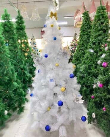 Ağ yolka lalafo.az -da Ağ yolka