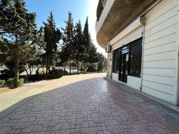 Satışa/təklif olunur: vitrinli obyekt sahəsi - Geniş vitrin lalafo.az -da Satışa/təklif olunur: vitrinli obyekt sahəsi - Geniş vitrin