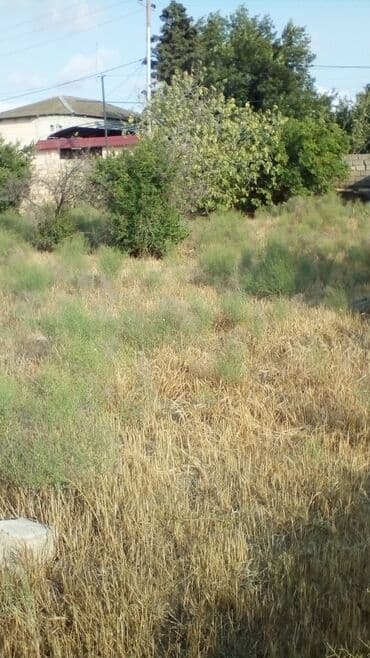 6 sot, Tikinti, Barter mümkündür, Kupça (Çıxarış) lalafo.az -da 6 sot, Tikinti, Barter mümkündür, Kupça (Çıxarış)