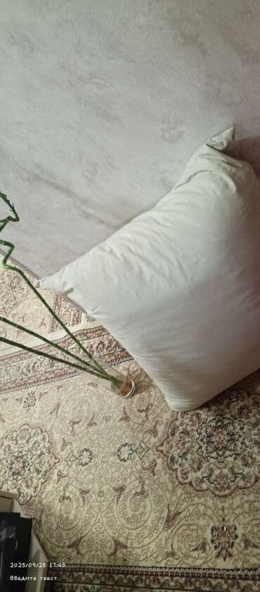 Toyug tukunen baliclar 
3 eded balinc 
1 kq -17 man lalafo.az -da Toyug tukunen baliclar 
3 eded balinc 
1 kq -17 man