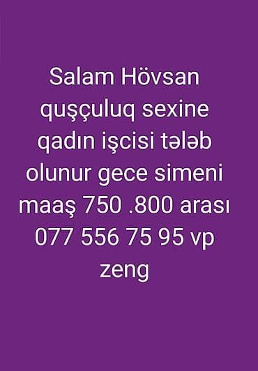 Xadimə tələb olunur, Gecə növbəsində iş lalafo.az -da Xadimə tələb olunur, Gecə növbəsində iş