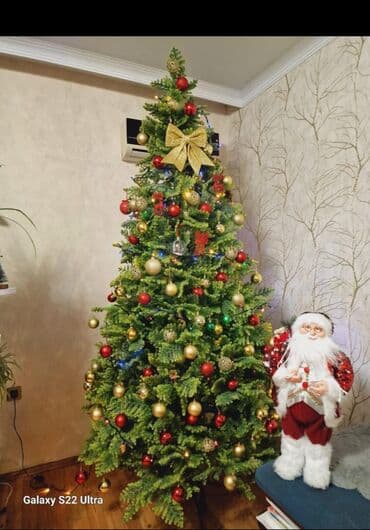 2. 70 hundurluyunde yolka satilir. *Qiymeti 200 Azn sondu.* Unvan lalafo.az -da 2. 70 hundurluyunde yolka satilir. *Qiymeti 200 Azn sondu.* Unvan